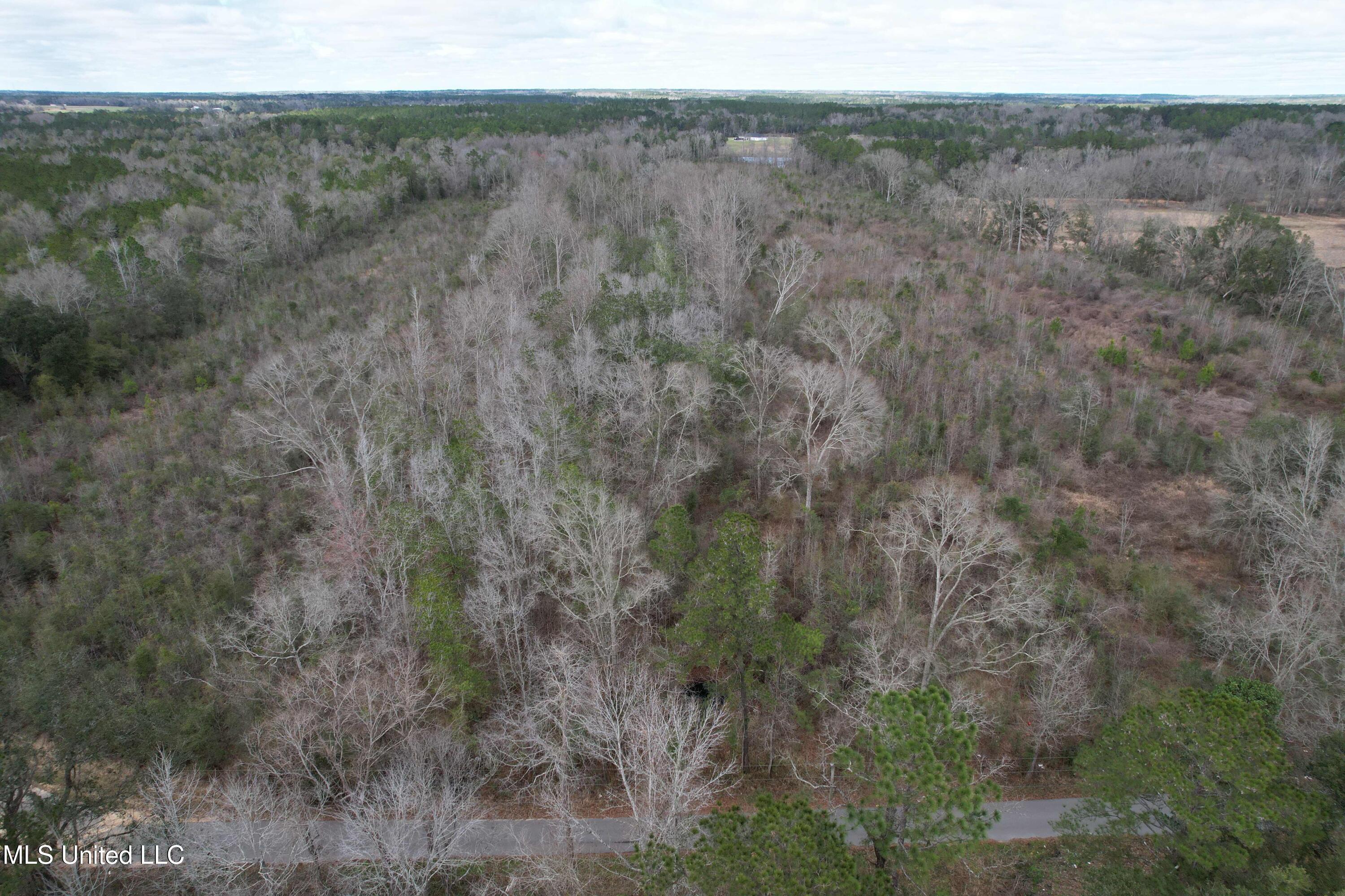 Roy Street Rd, Lucedale, Mississippi image 2
