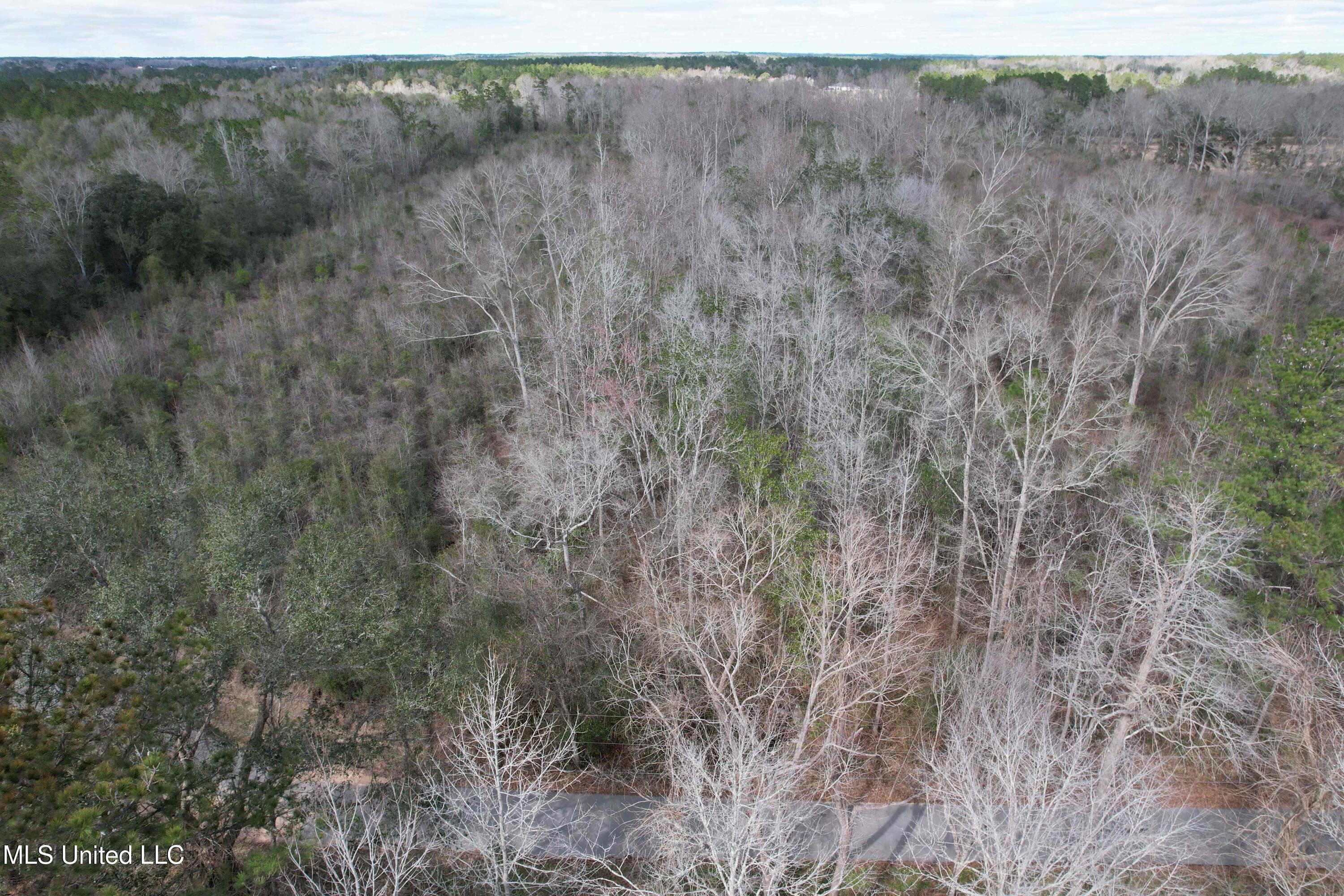 Roy Street Rd, Lucedale, Mississippi image 4