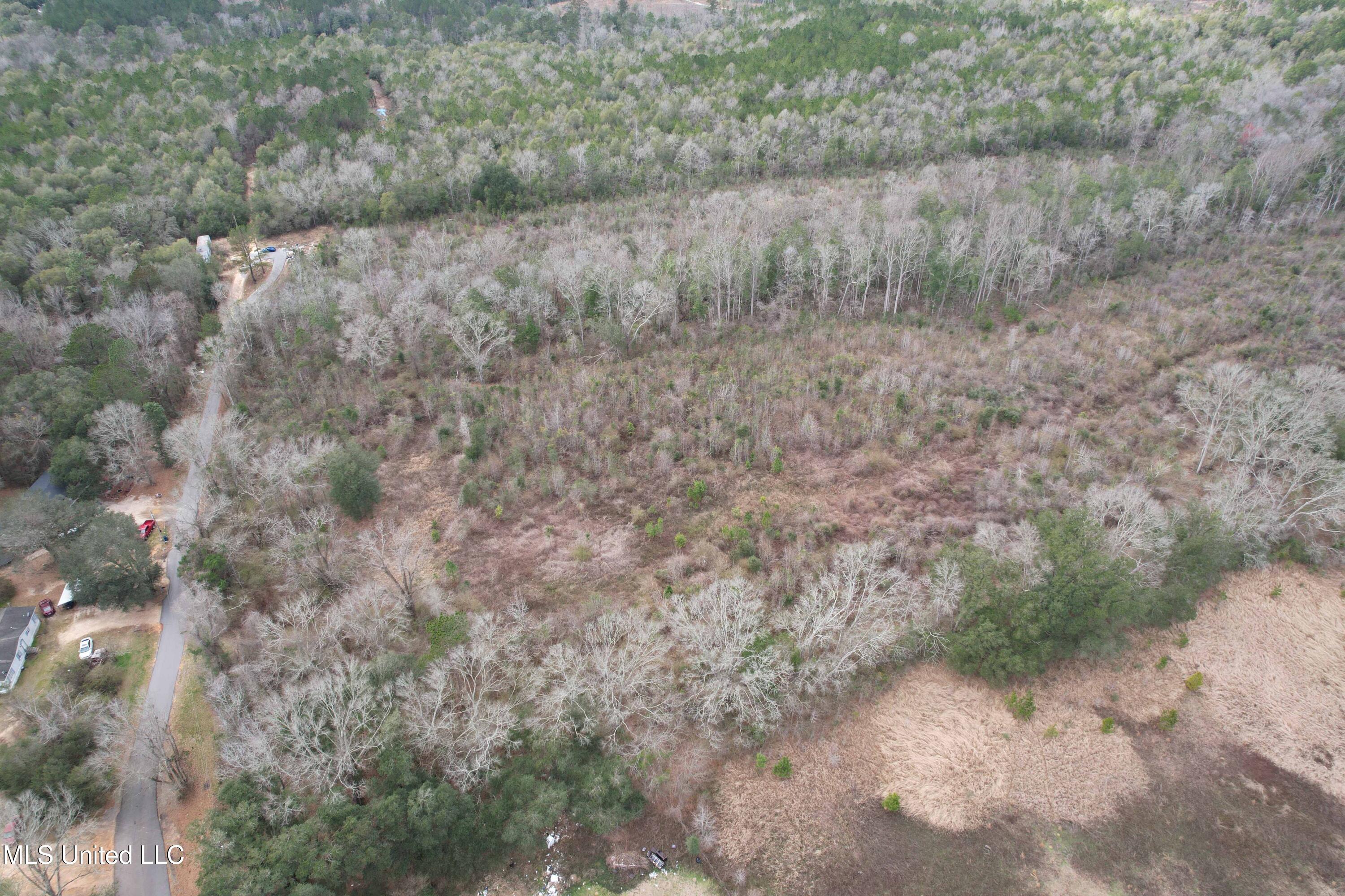 Roy Street Rd, Lucedale, Mississippi image 6