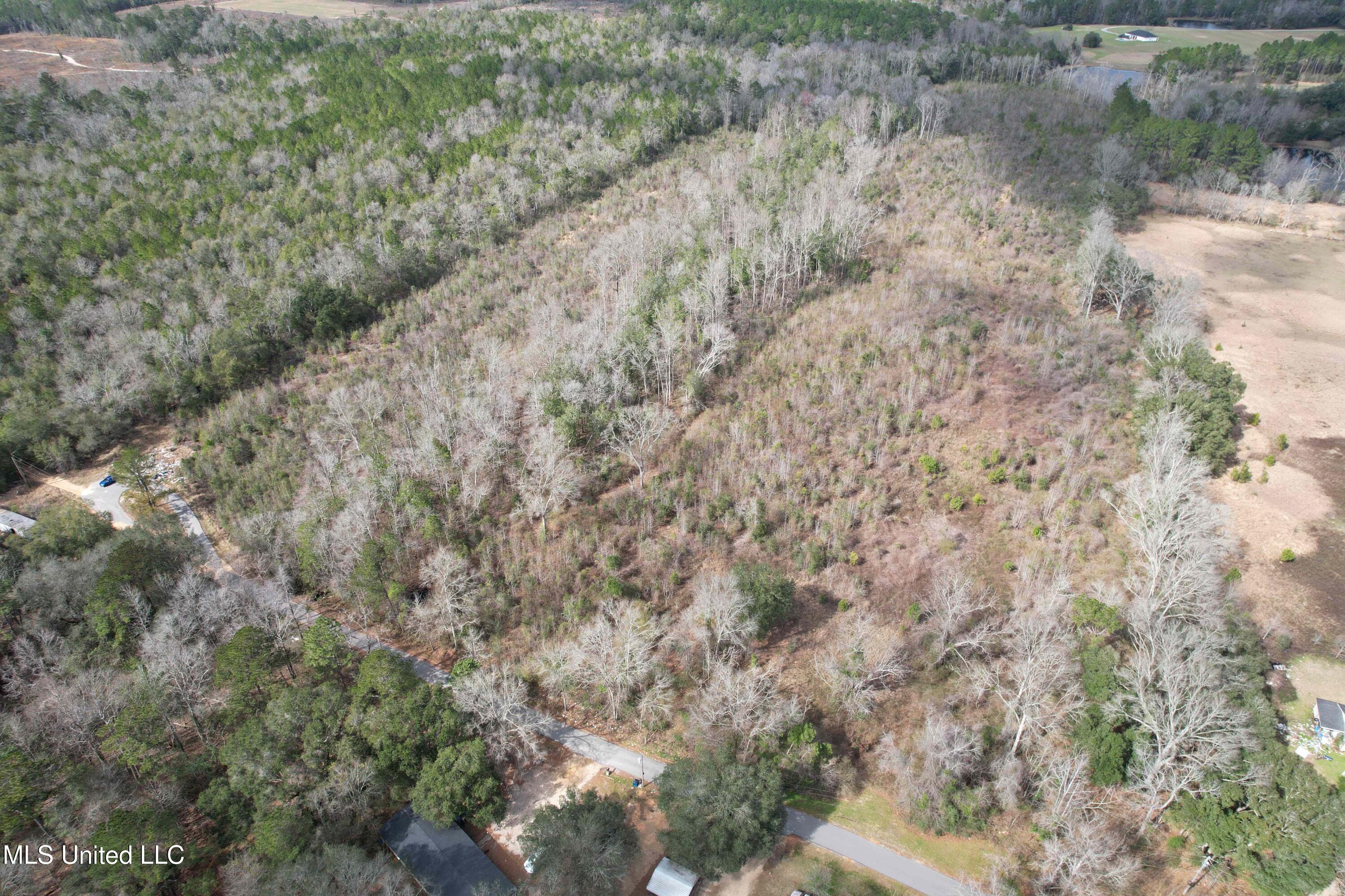 Roy Street Rd, Lucedale, Mississippi image 7
