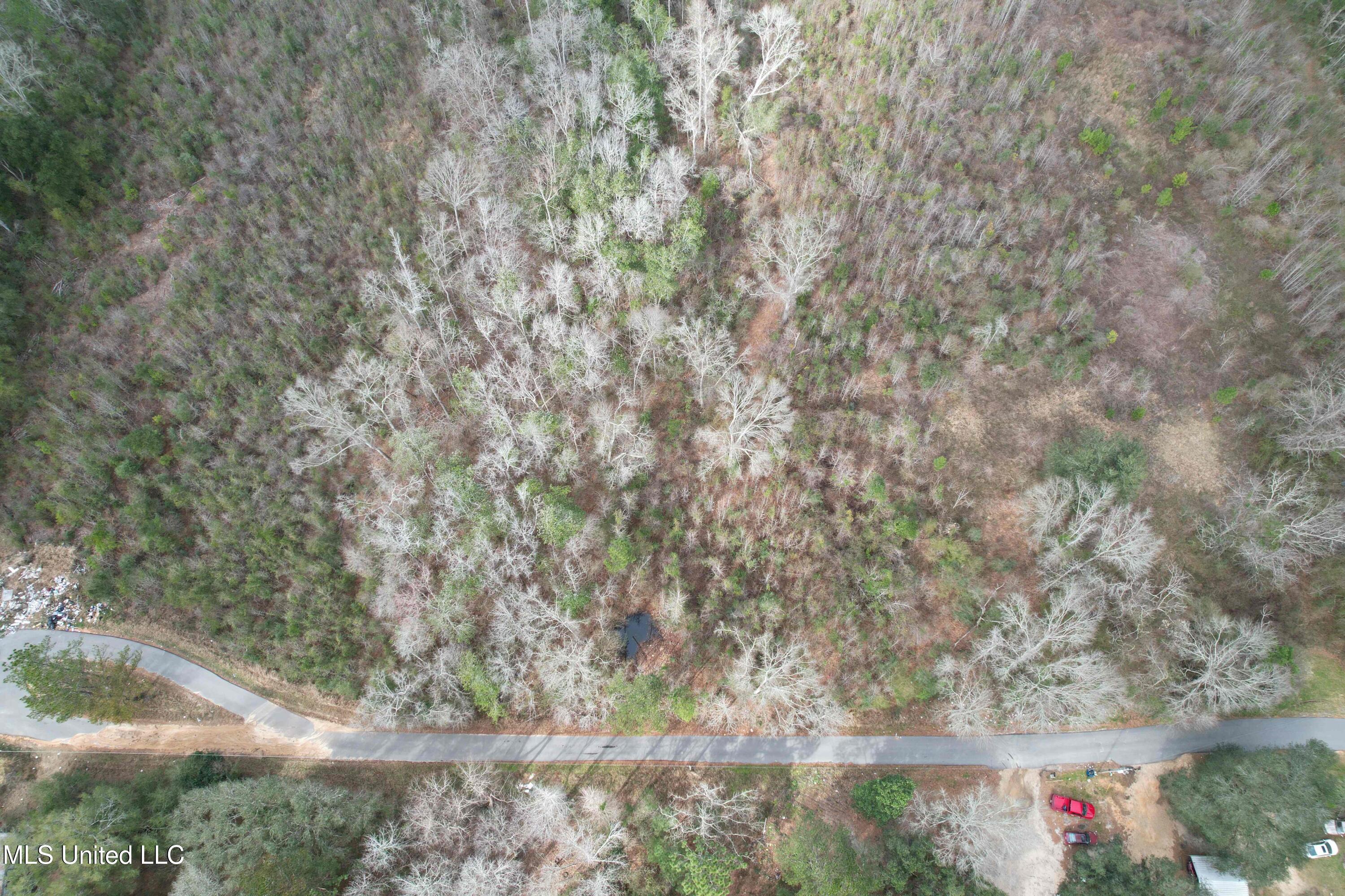 Roy Street Rd, Lucedale, Mississippi image 21