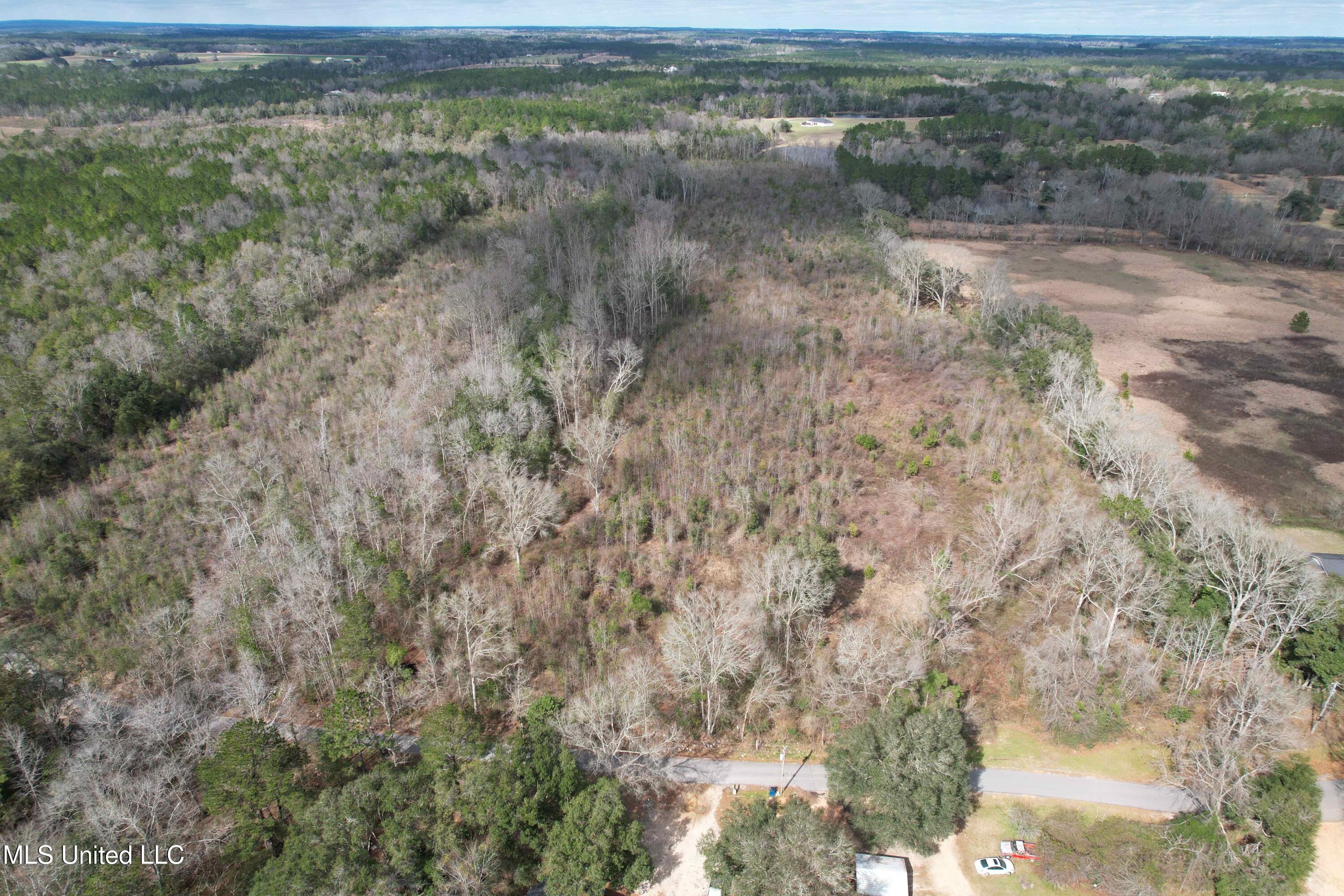 Roy Street Rd, Lucedale, Mississippi image 3