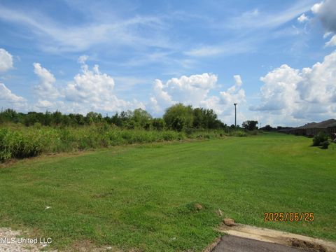 Vacant Land For Sale - 1000 Jason Boulevard<br/> Yazoo County, Yazoo City, MS 39194