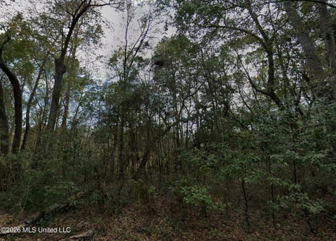 Vacant Land For Sale - Gregory Street<br/> Moss Point, MS 39563
