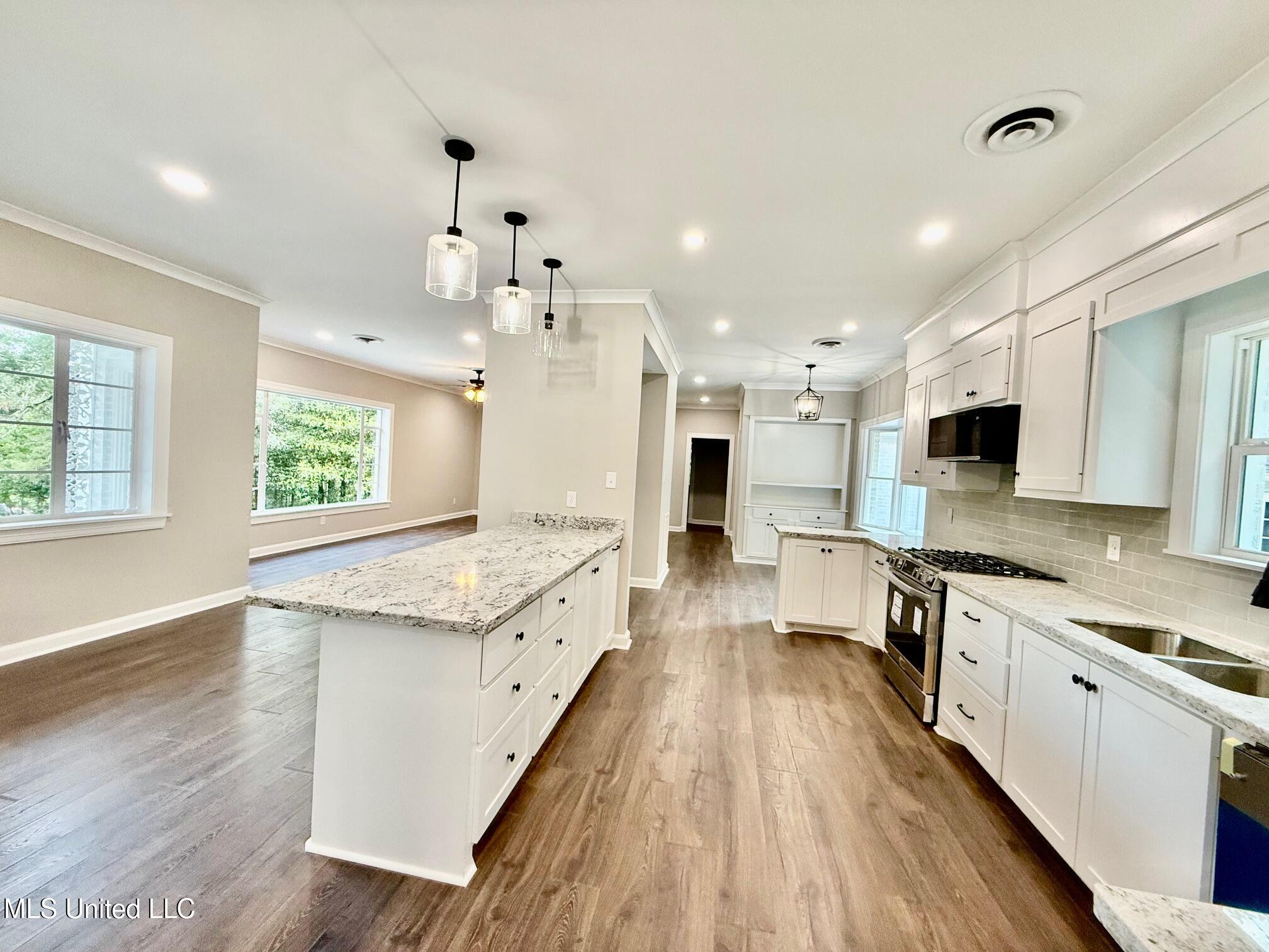 112 Louis Wilson Drive, Brandon, Mississippi image 21