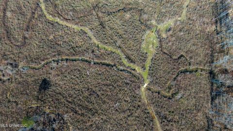 Vacant Land For Sale - Raytown Road<br/> Canton, MS 39046