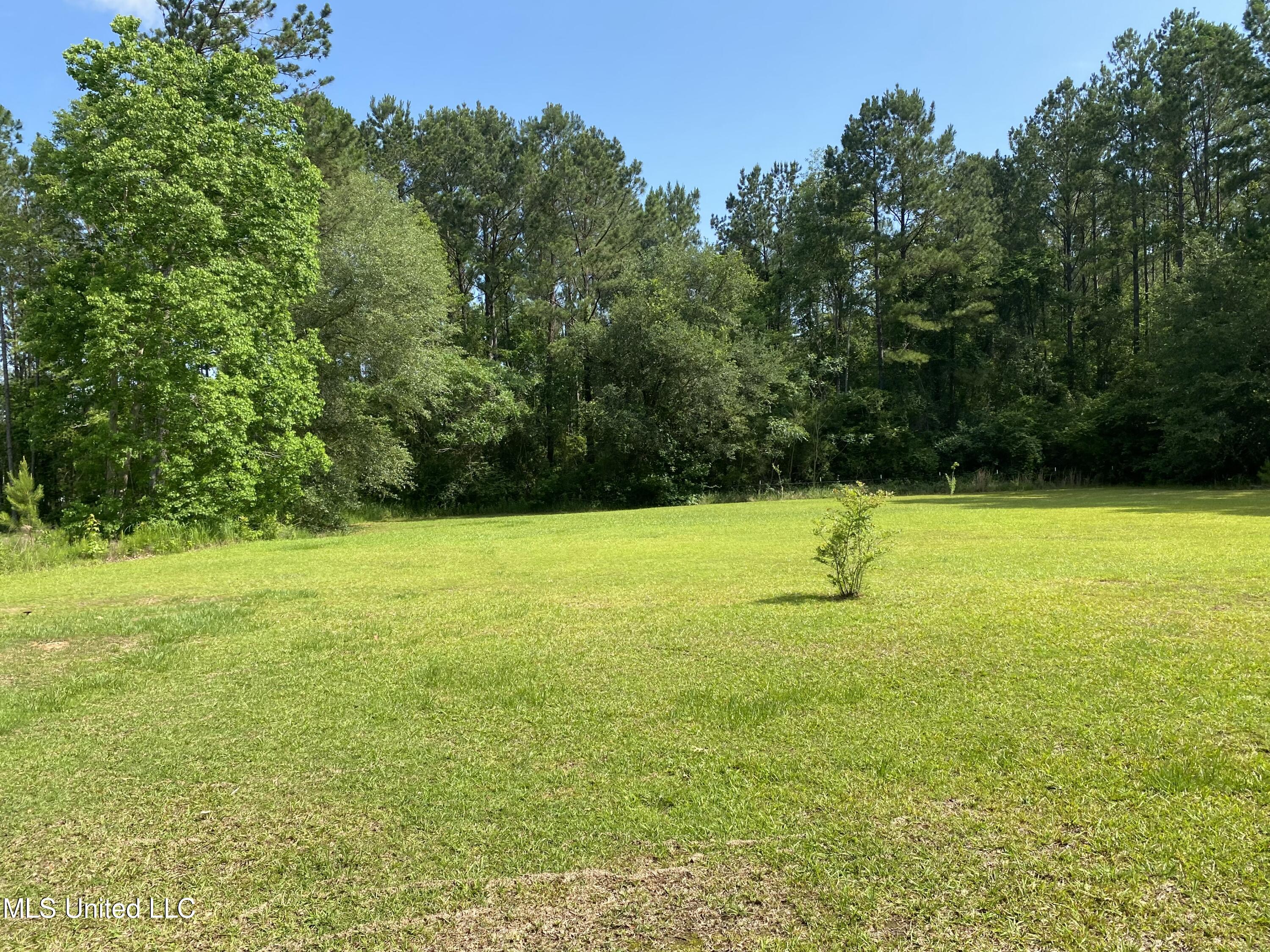 16533 Campground Road, Vancleave, Mississippi image 6