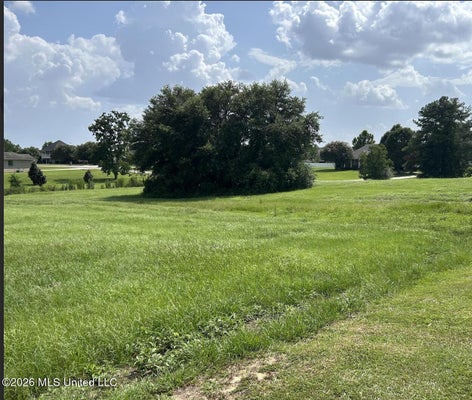 SHORE CREST CIR, CARRIERE, MS 39426 - Image a0b52cde4f5e5ff4d9c3d3b05c3f3dac/748527645