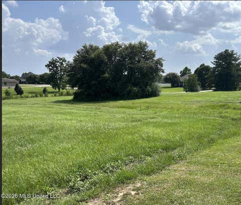 Vacant Land For Sale - NHN Shore Crest Circle<br/> Carriere, MS 39426