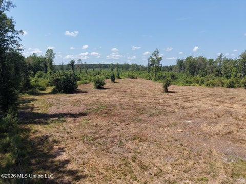 Vacant Land For Sale - 3 Dewitt Lane<br/> Bogalusa, LA 70427
