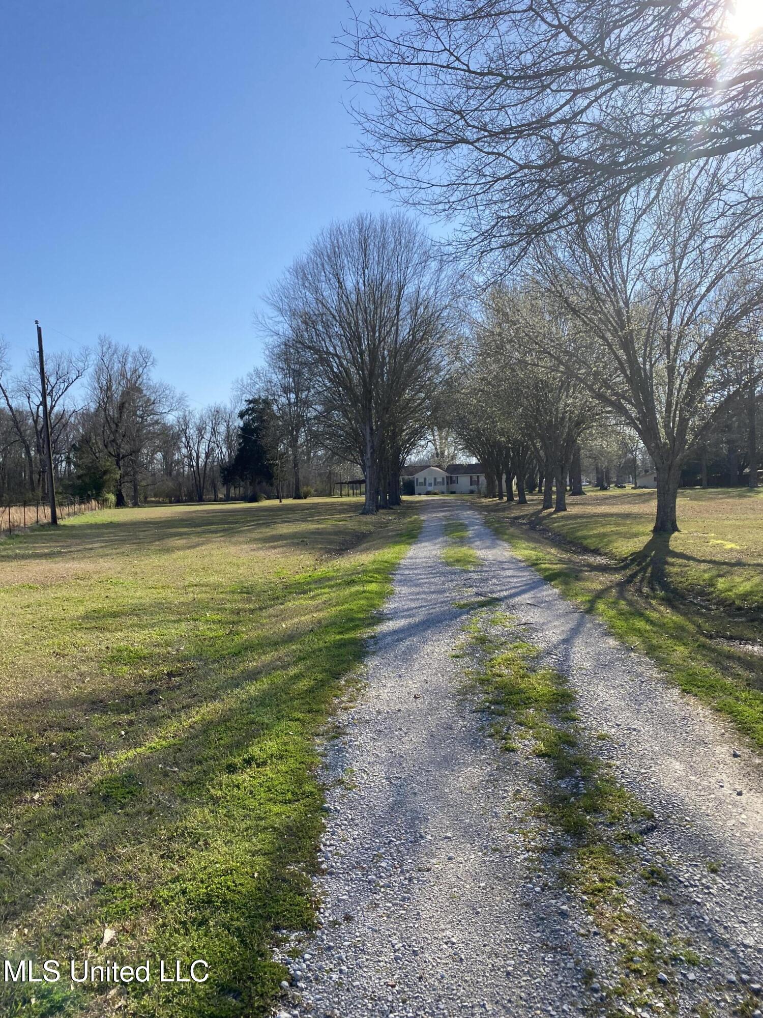 405 Highway 3037, Jonesville, Louisiana image 2