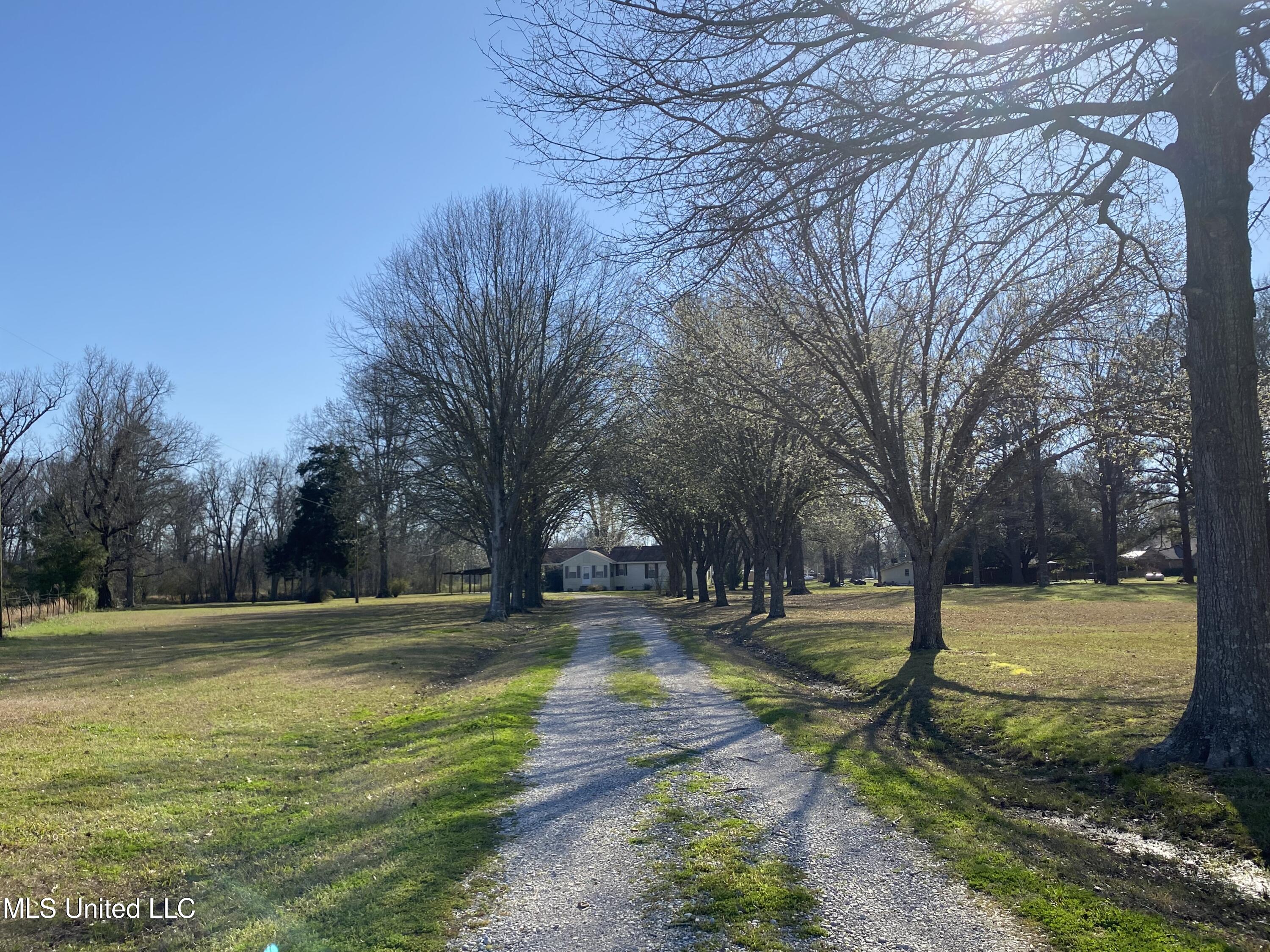 405 Highway 3037, Jonesville, Louisiana image 4