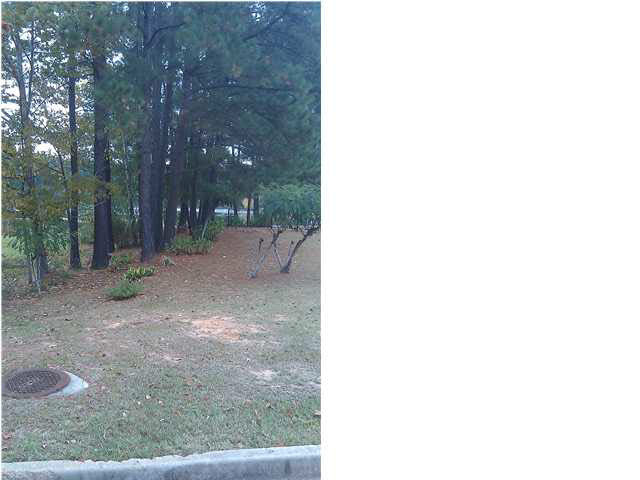 Watersview Street #LOT 7, Jackson, Mississippi image 1