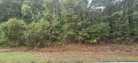 Vacant Land For Sale - Woolsey Road<br/> Olive Branch, MS 38654