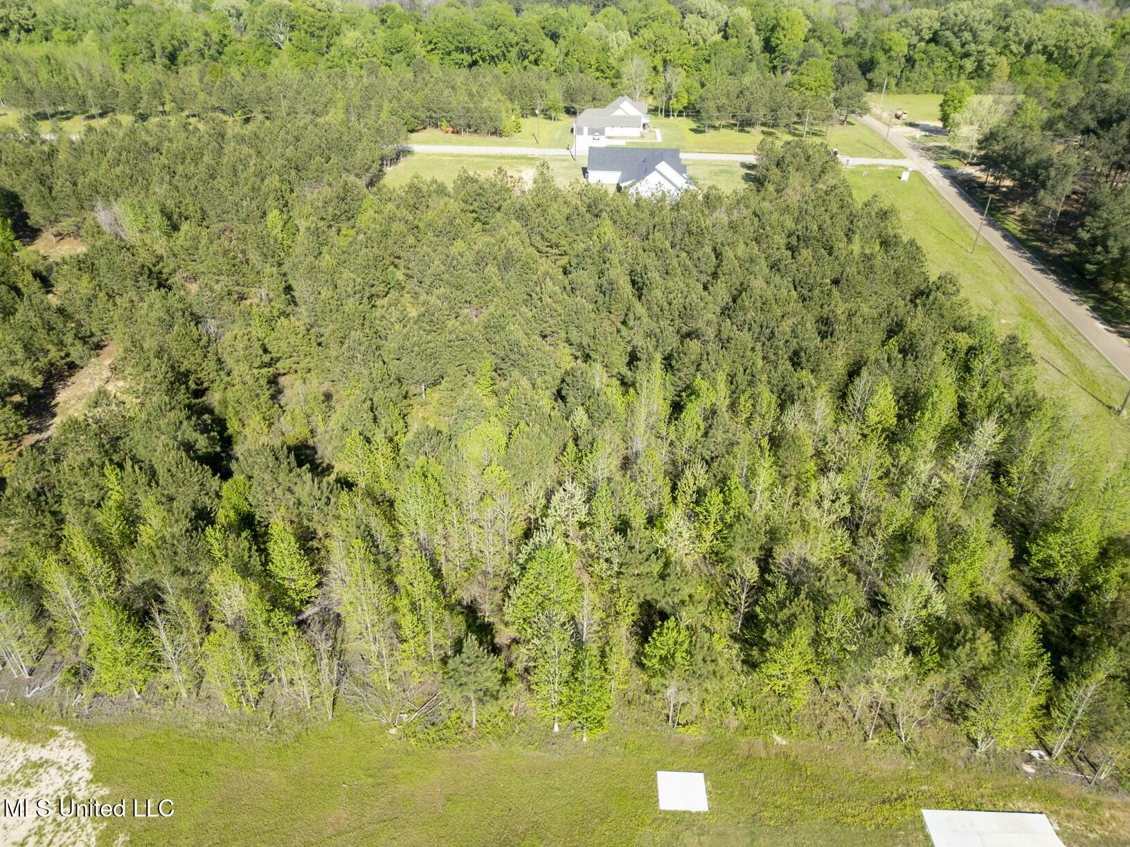Stout Road, Canton, Mississippi image 3