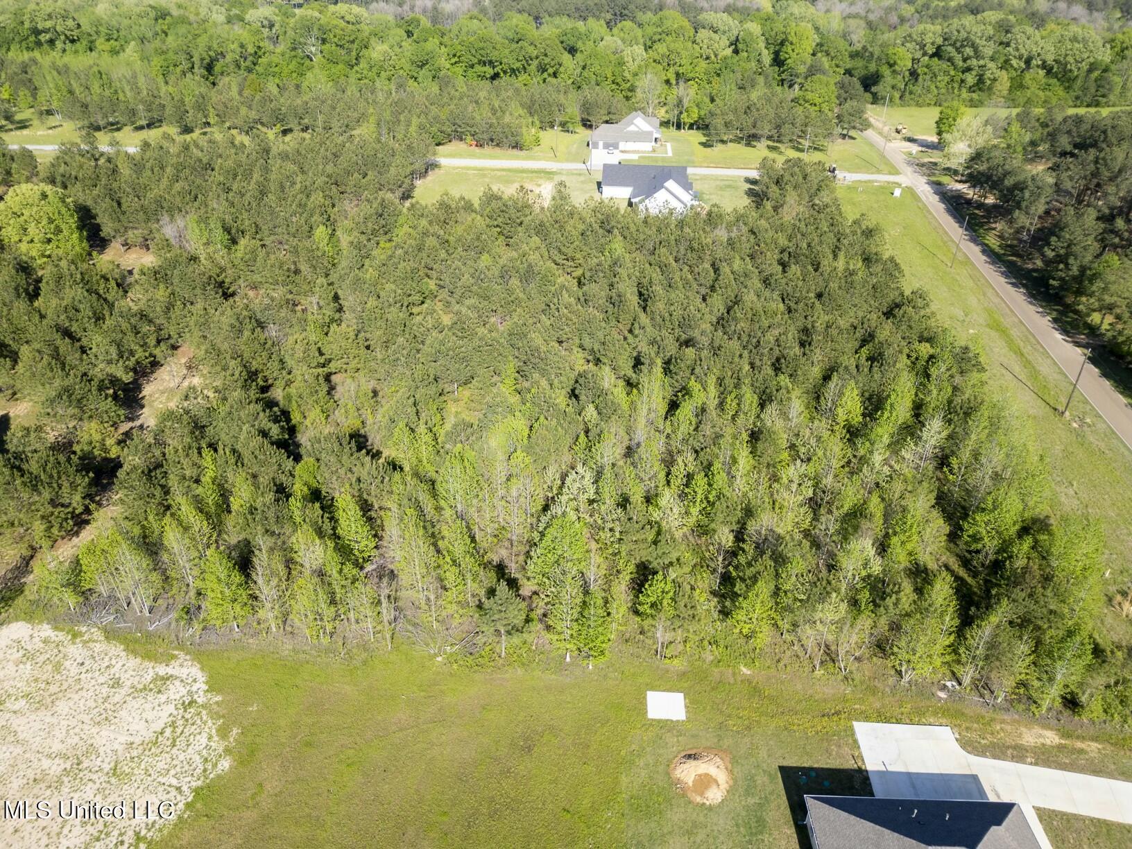 Stout Road, Canton, Mississippi image 4