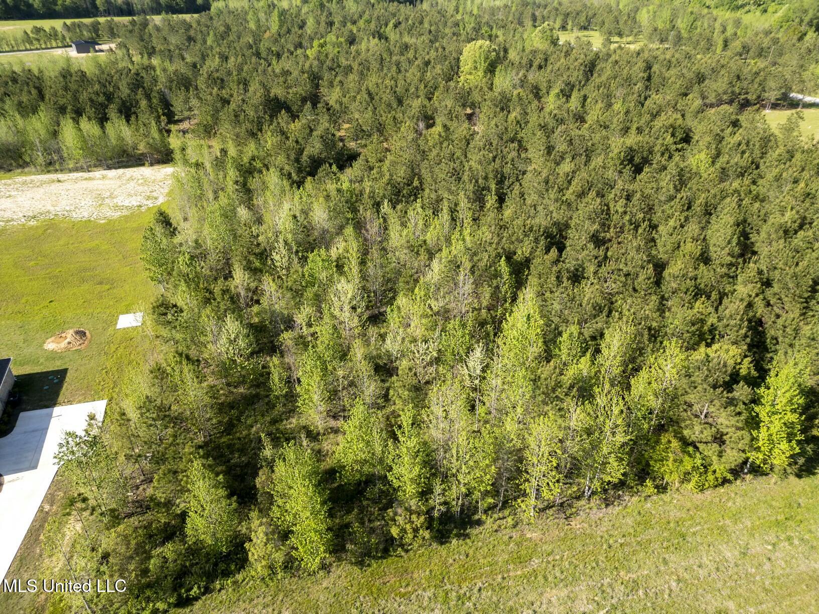 Stout Road, Canton, Mississippi image 2