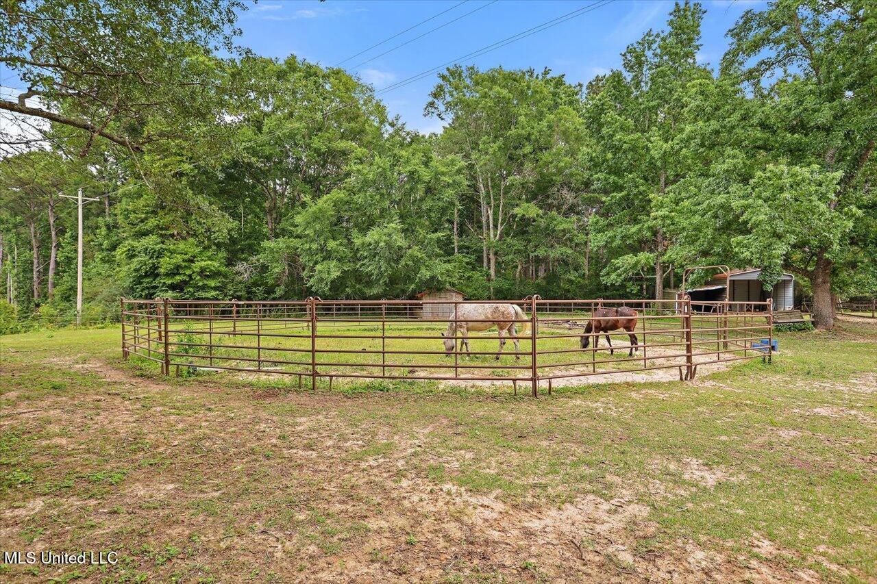 1563 Dry Creek Road, Magee, Mississippi image 44