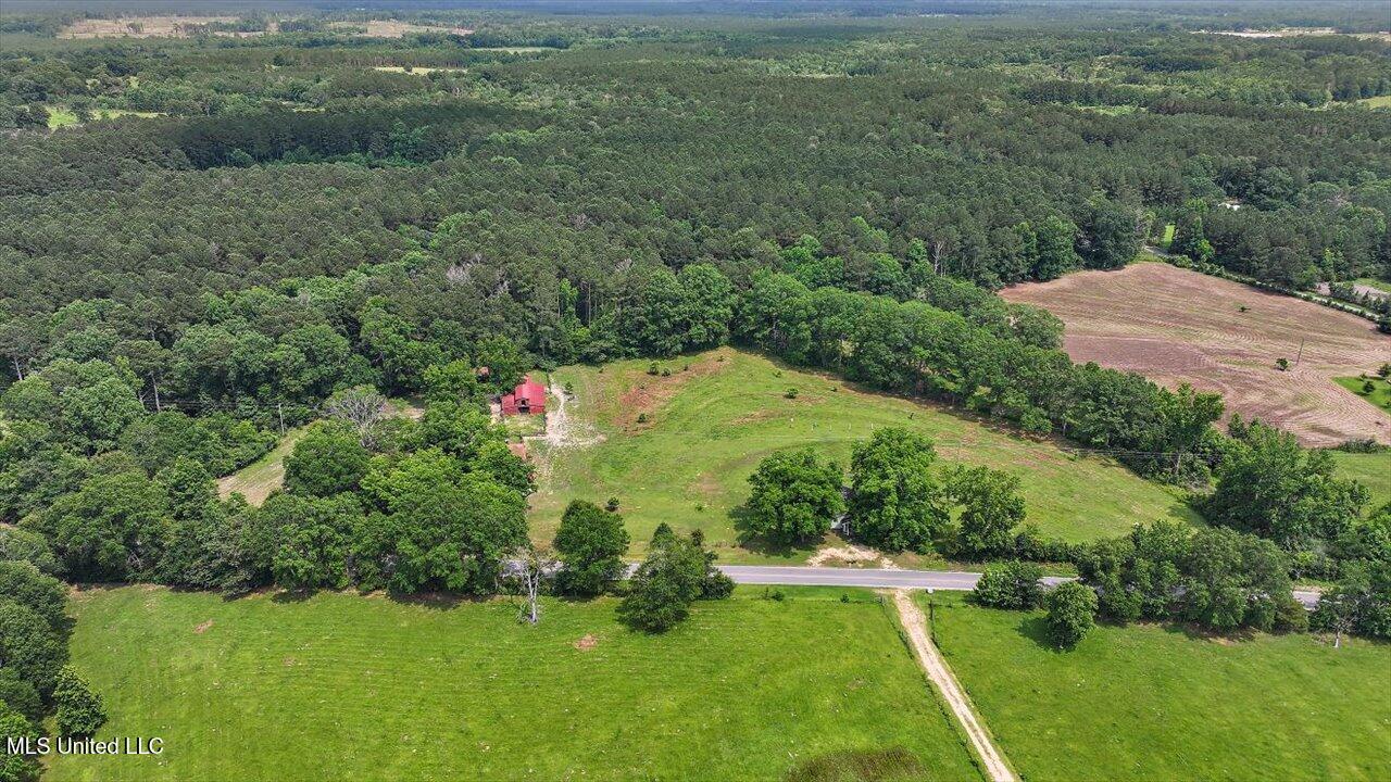 1563 Dry Creek Road, Magee, Mississippi image 2