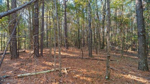 Vacant Land For Sale - Jimmie Drive<br/> Scott County, Forest, MS 39074