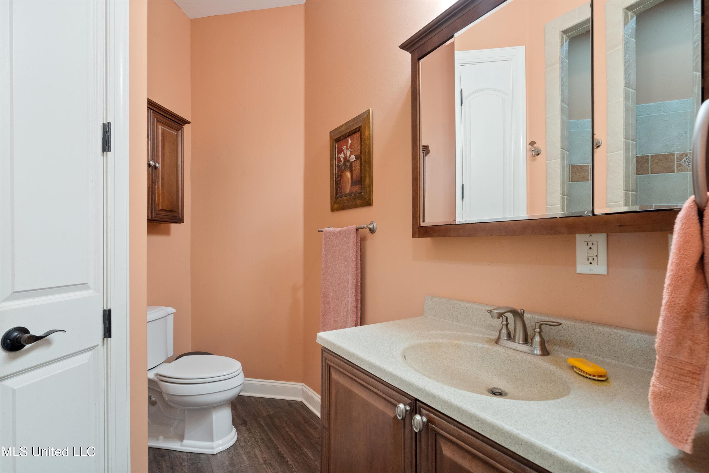 5543 Austin Road, Lake Cormorant, Mississippi image 34