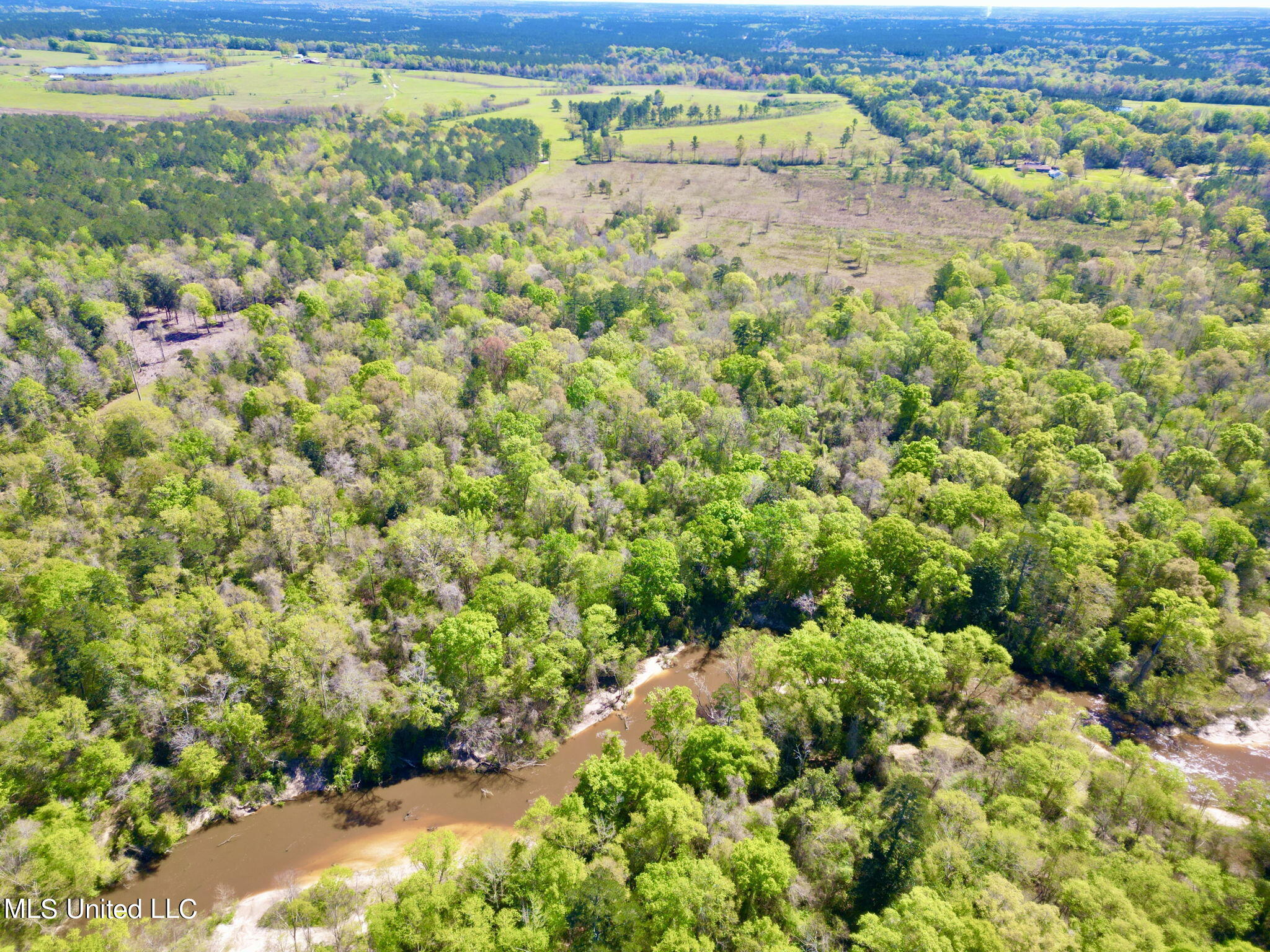 Nhn Osborn Moody Road, Poplarville, Mississippi image 4