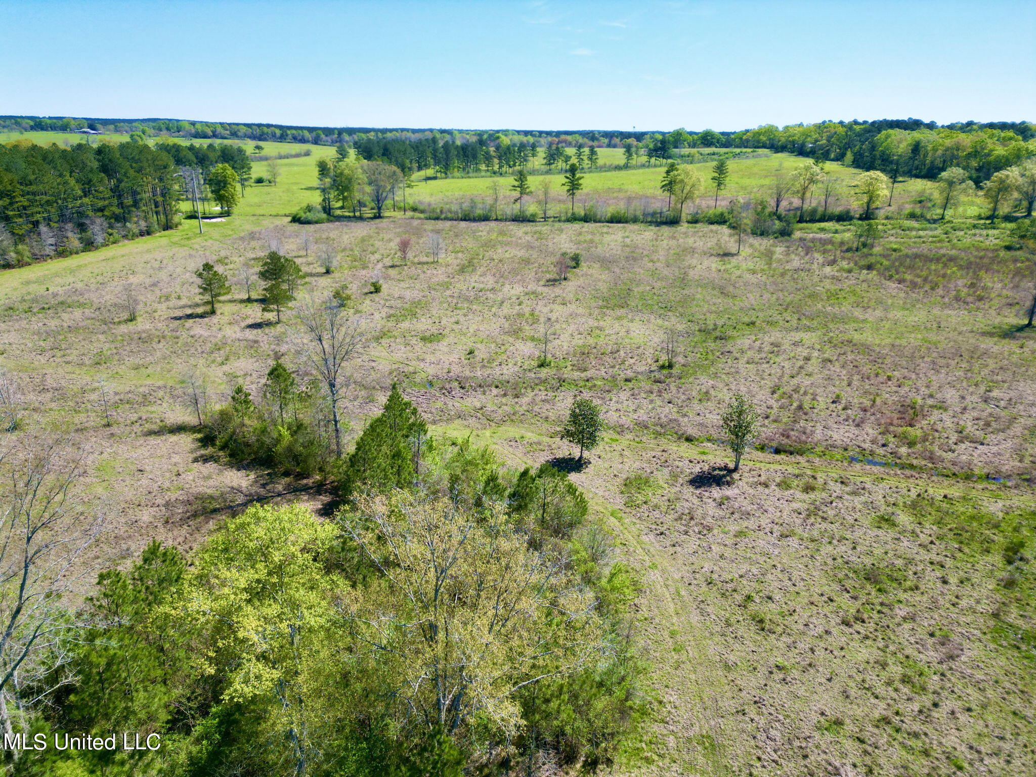 Nhn Osborn Moody Road, Poplarville, Mississippi image 12