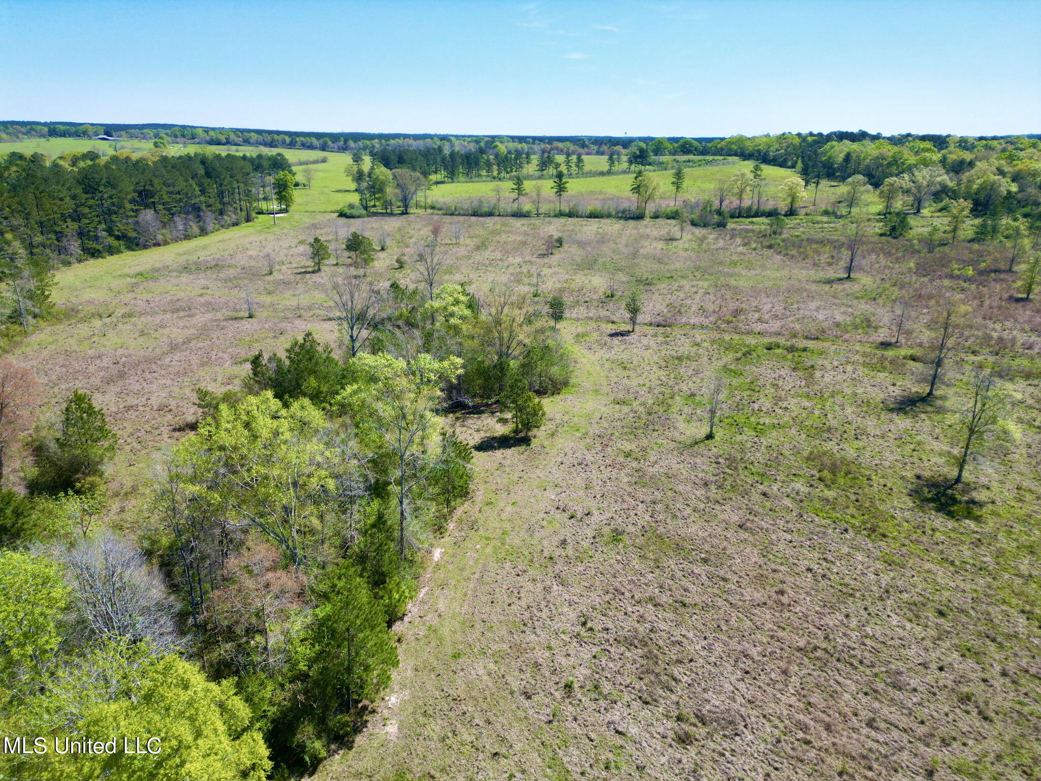 Nhn Osborn Moody Road, Poplarville, Mississippi image 11