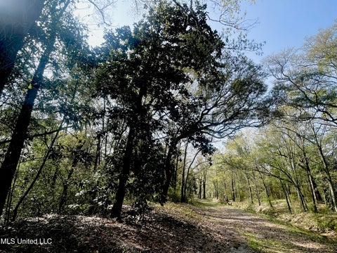 Vacant Land For Sale - Holland Street<br/> Pascagoula, MS 39581