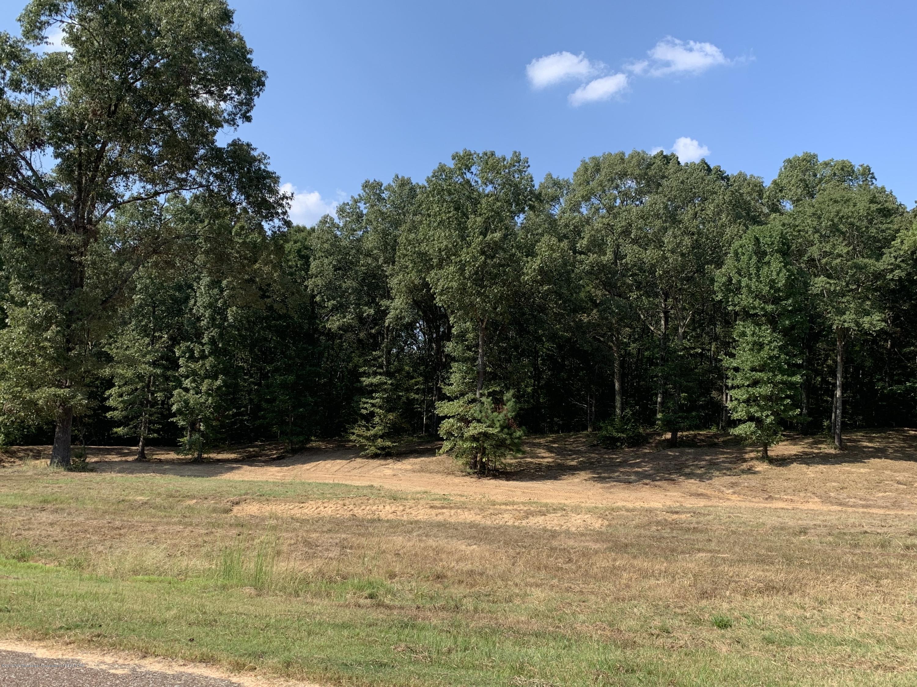 2644 Plank Road, Hernando, Mississippi image 1