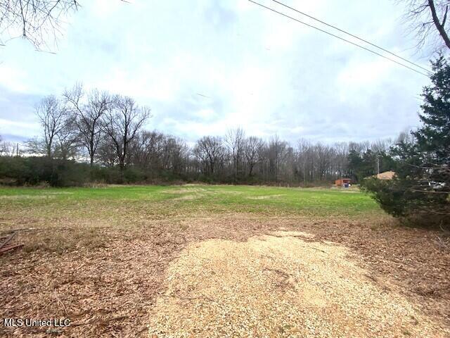 10 Acres Smith, Hernando, Mississippi image 4