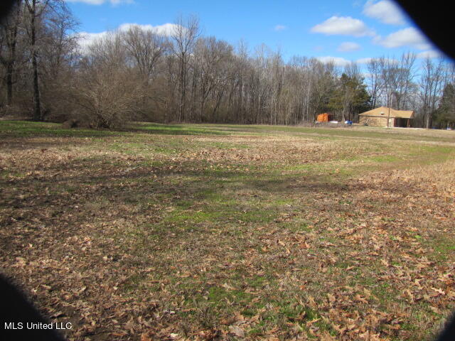 10 Acres Smith, Hernando, Mississippi image 5