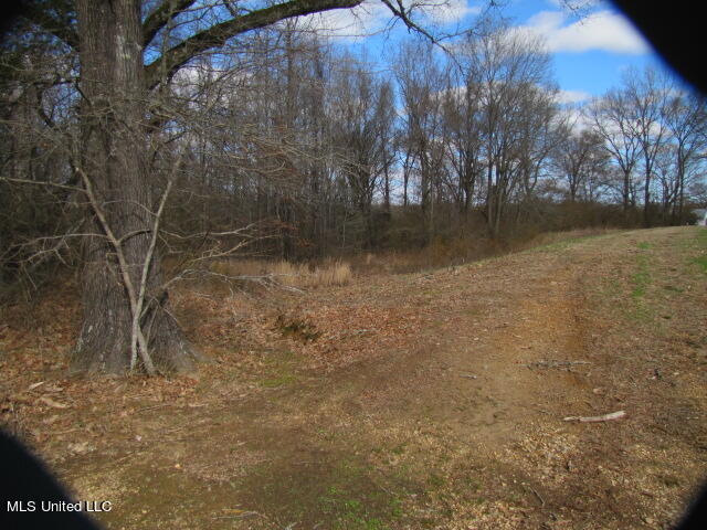 10 Acres Smith, Hernando, Mississippi image 9