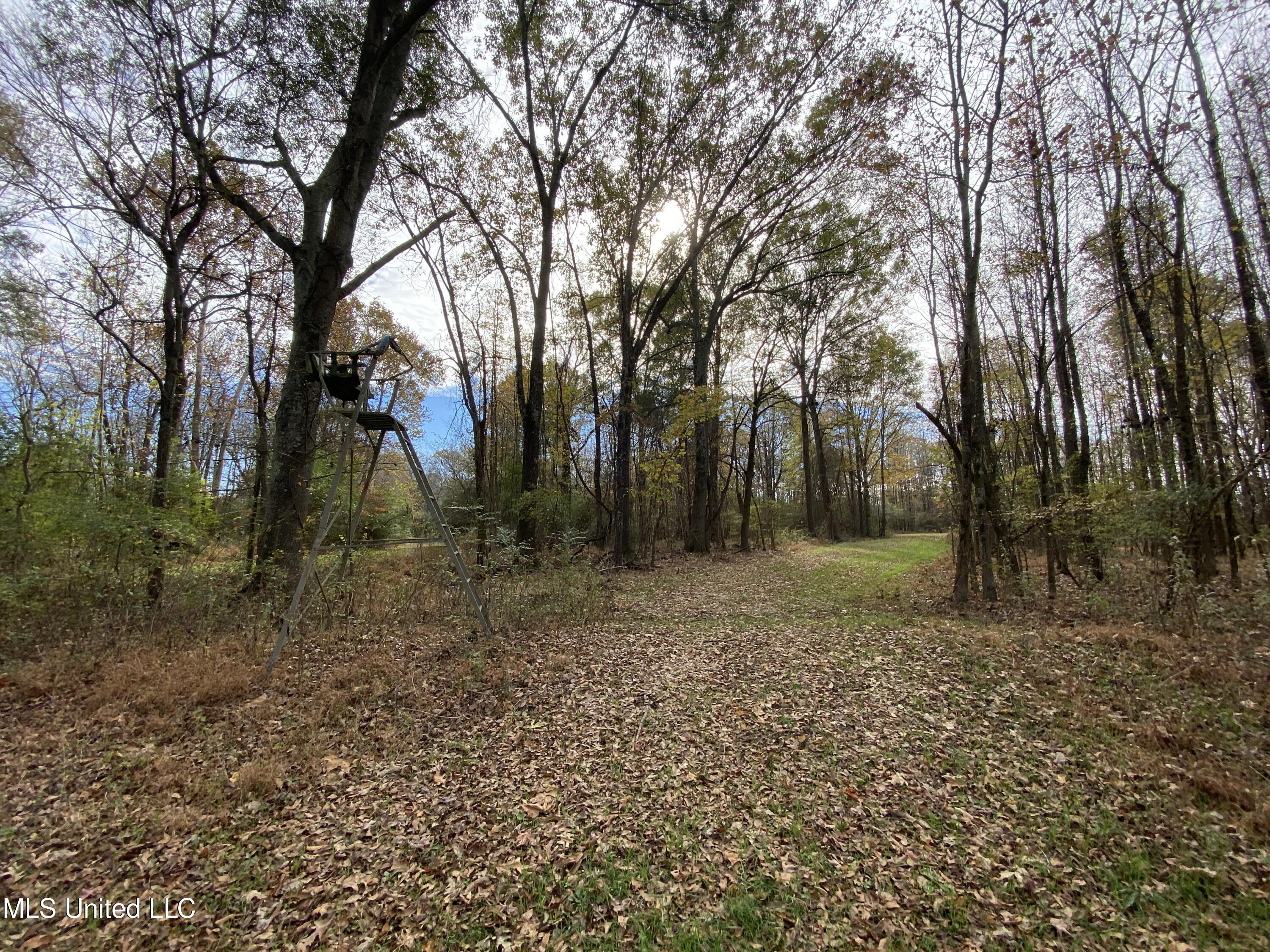 10 Acres Smith, Hernando, Mississippi image 6