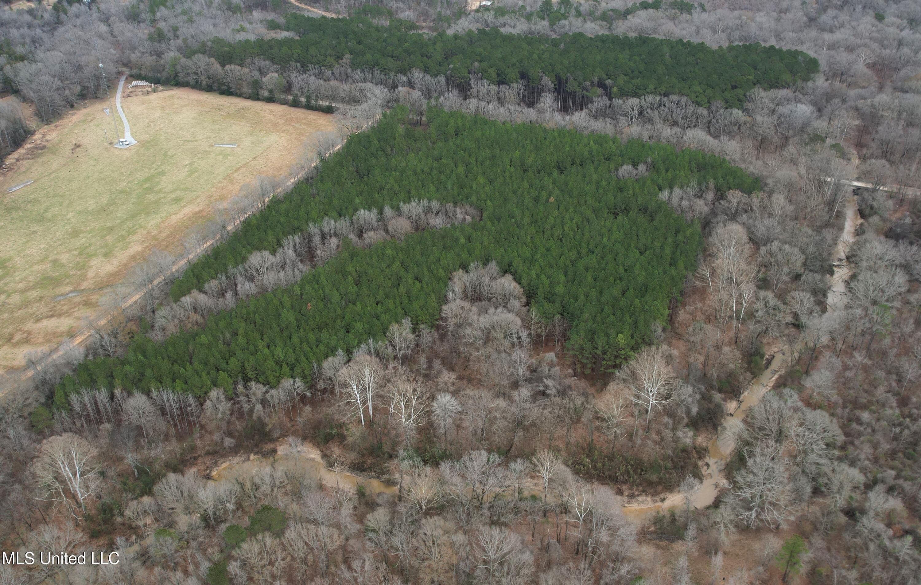 Off Dry Grove Road, Terry, Mississippi image 4