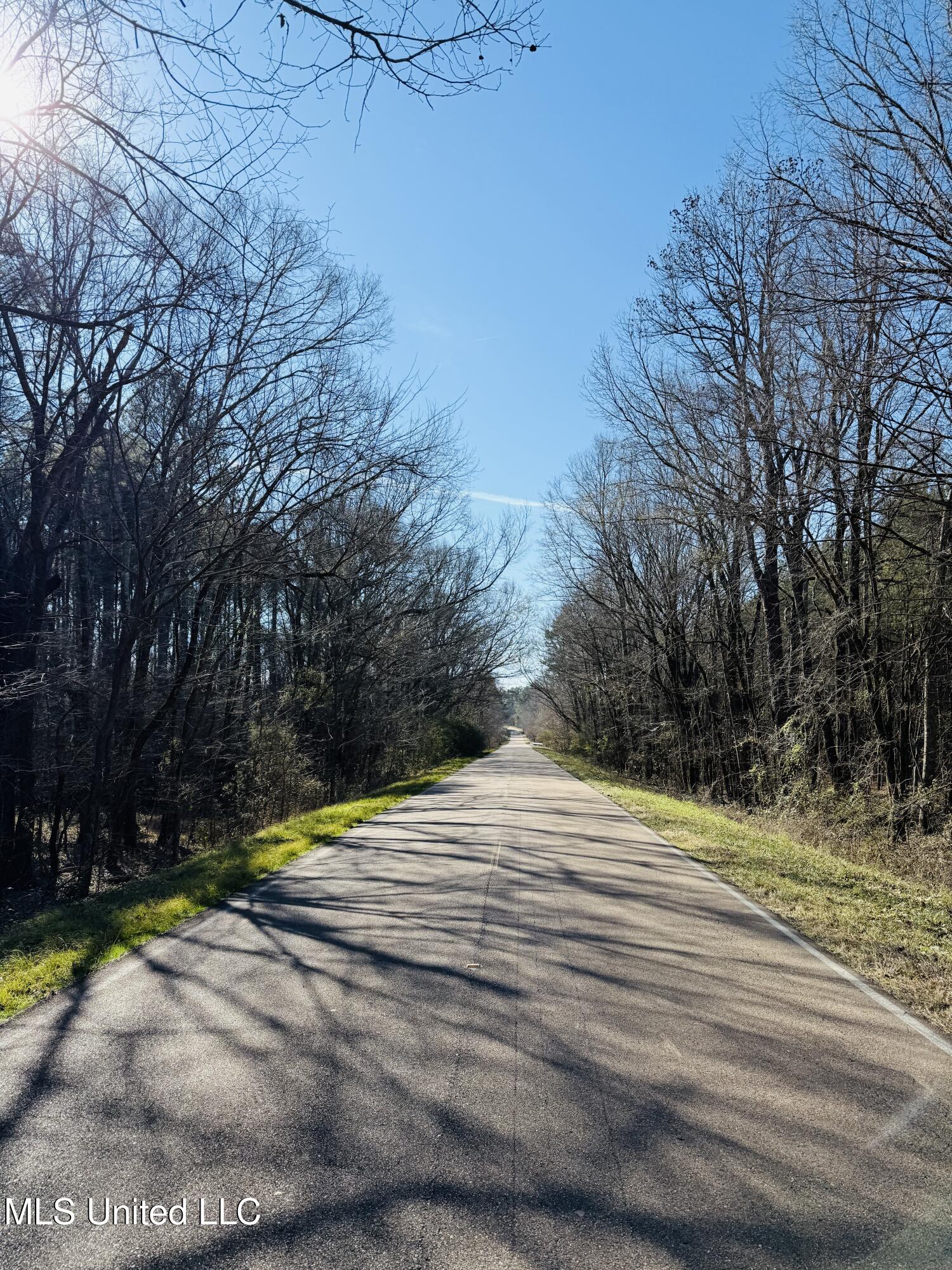 Off Dry Grove Road, Terry, Mississippi image 7