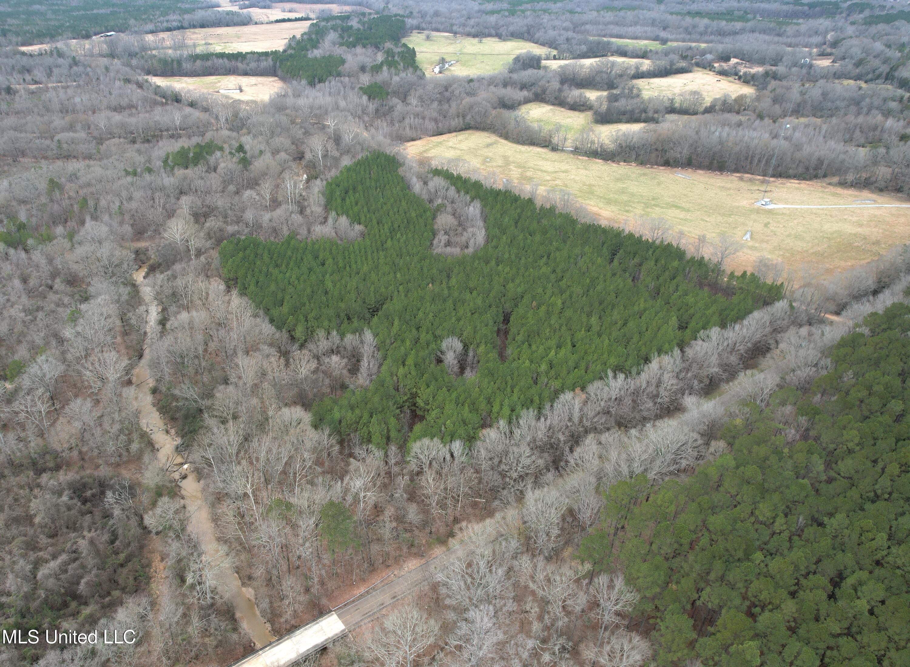 Off Dry Grove Road, Terry, Mississippi image 3