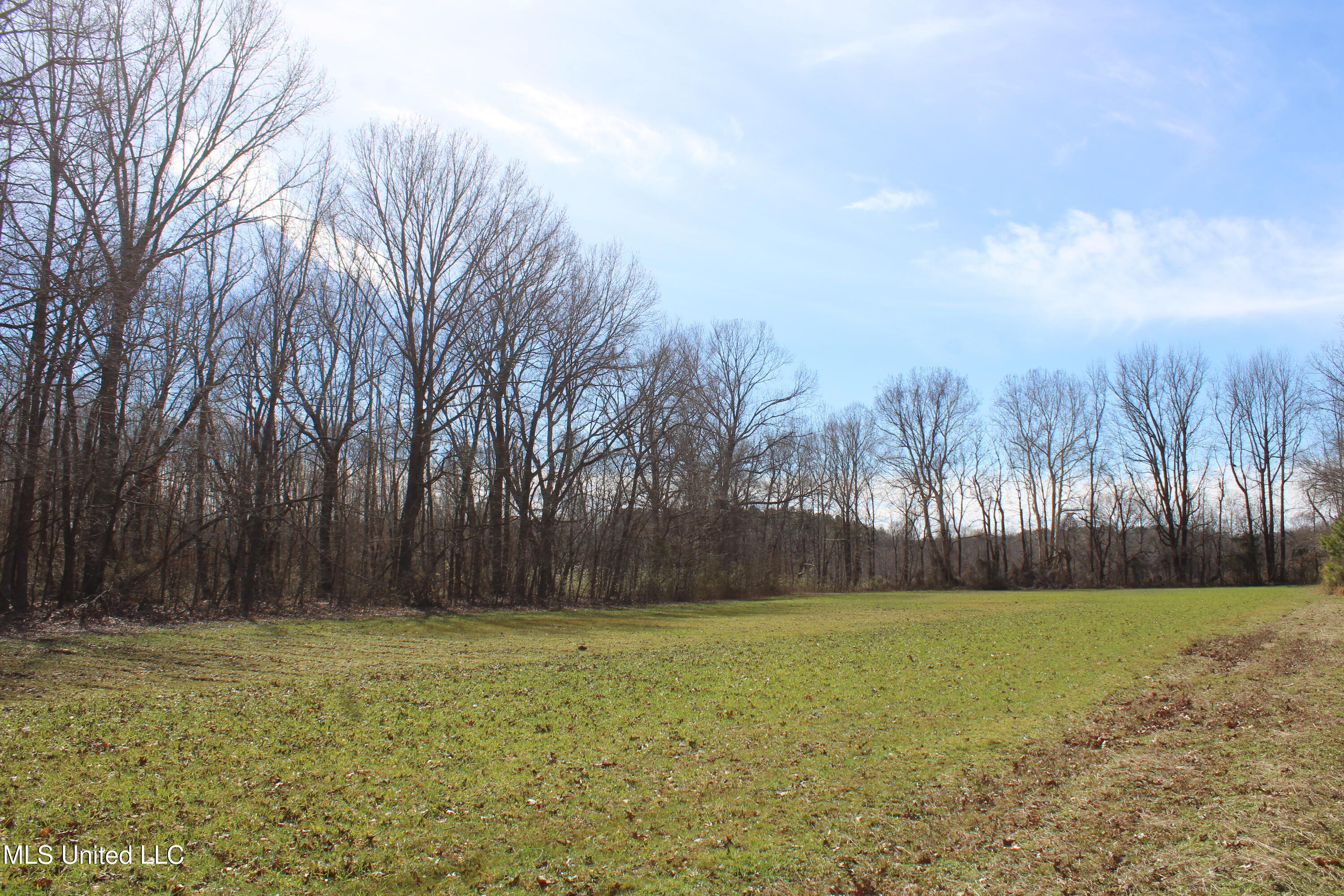 Freeman Drive, Coldwater, Mississippi image 14