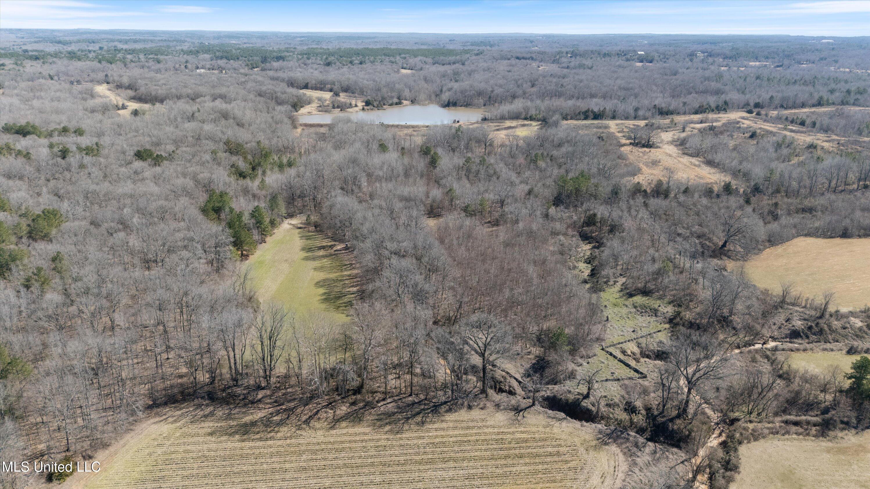 Freeman Drive, Coldwater, Mississippi image 4