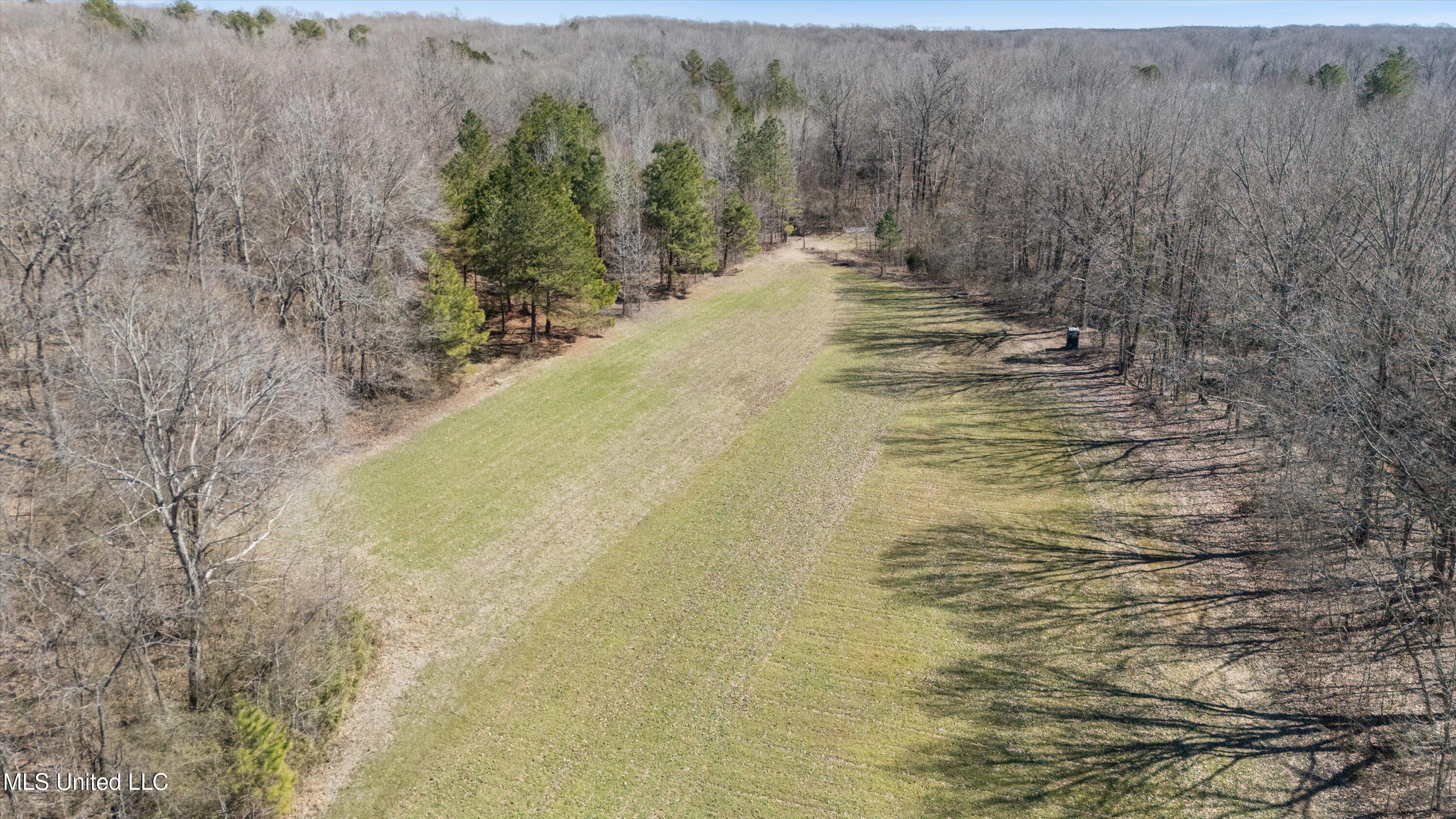Freeman Drive, Coldwater, Mississippi image 13