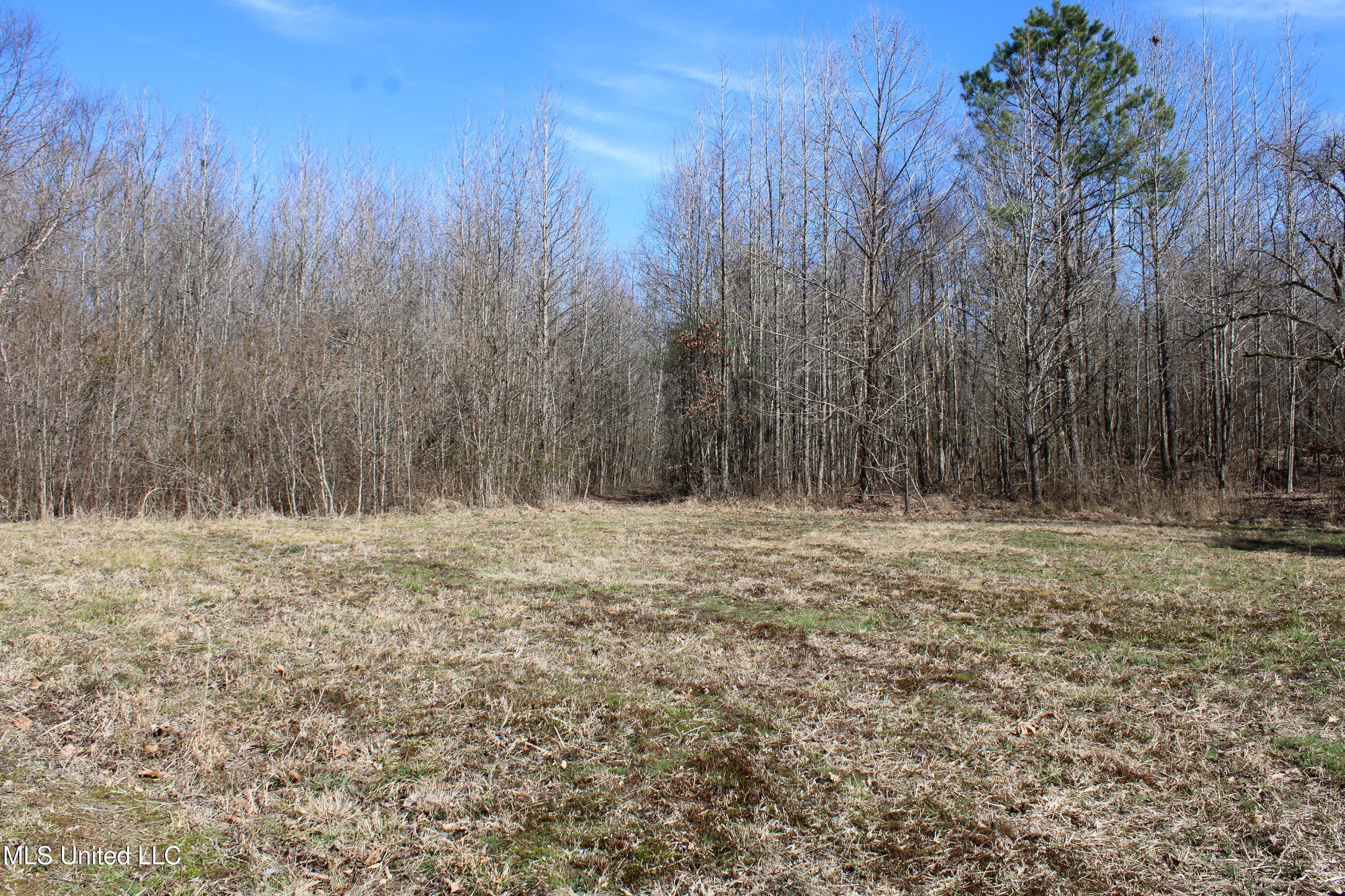 Freeman Drive, Coldwater, Mississippi image 22