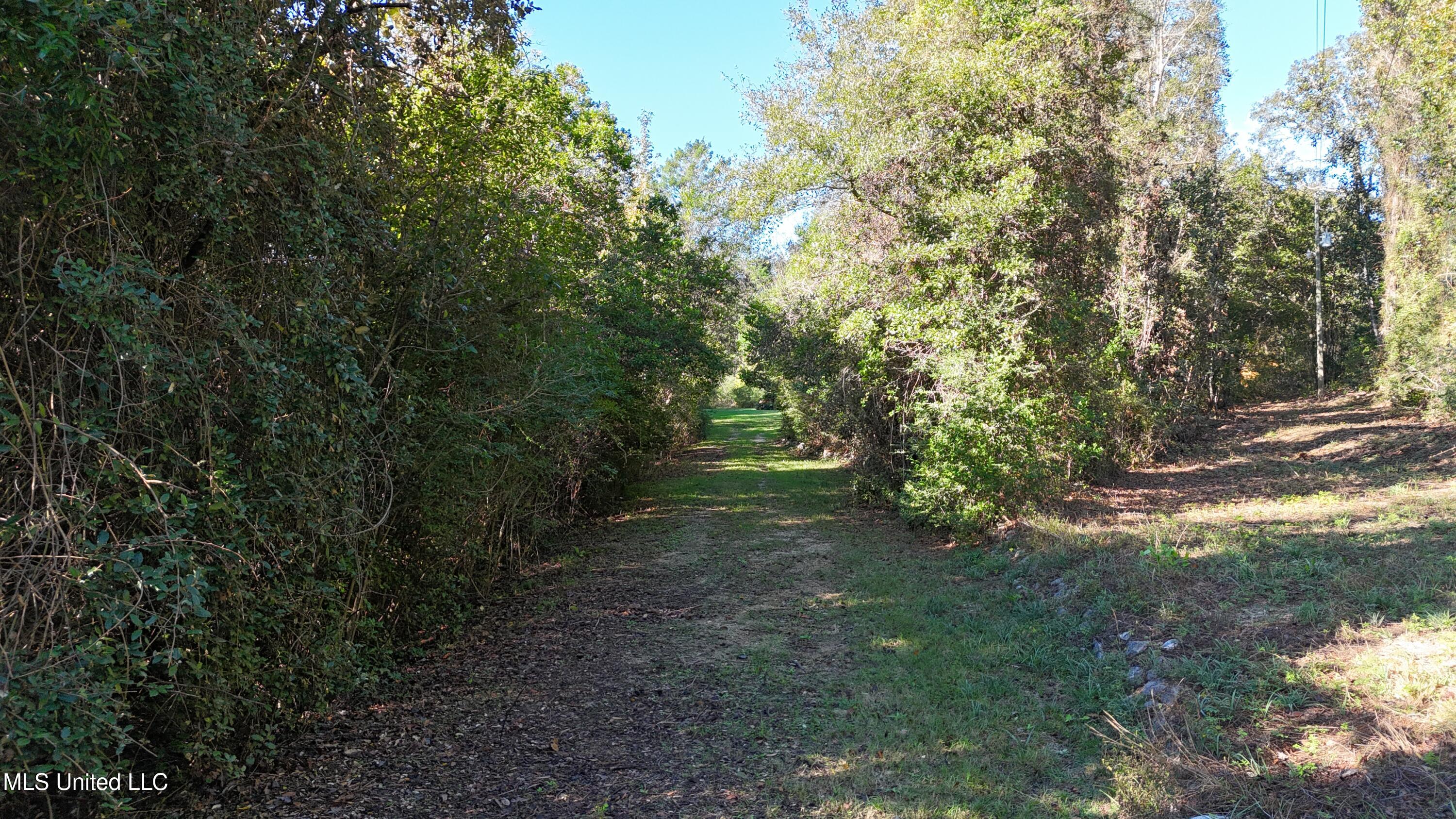 1012 Anchor Lake Road, Carriere, Mississippi image 7