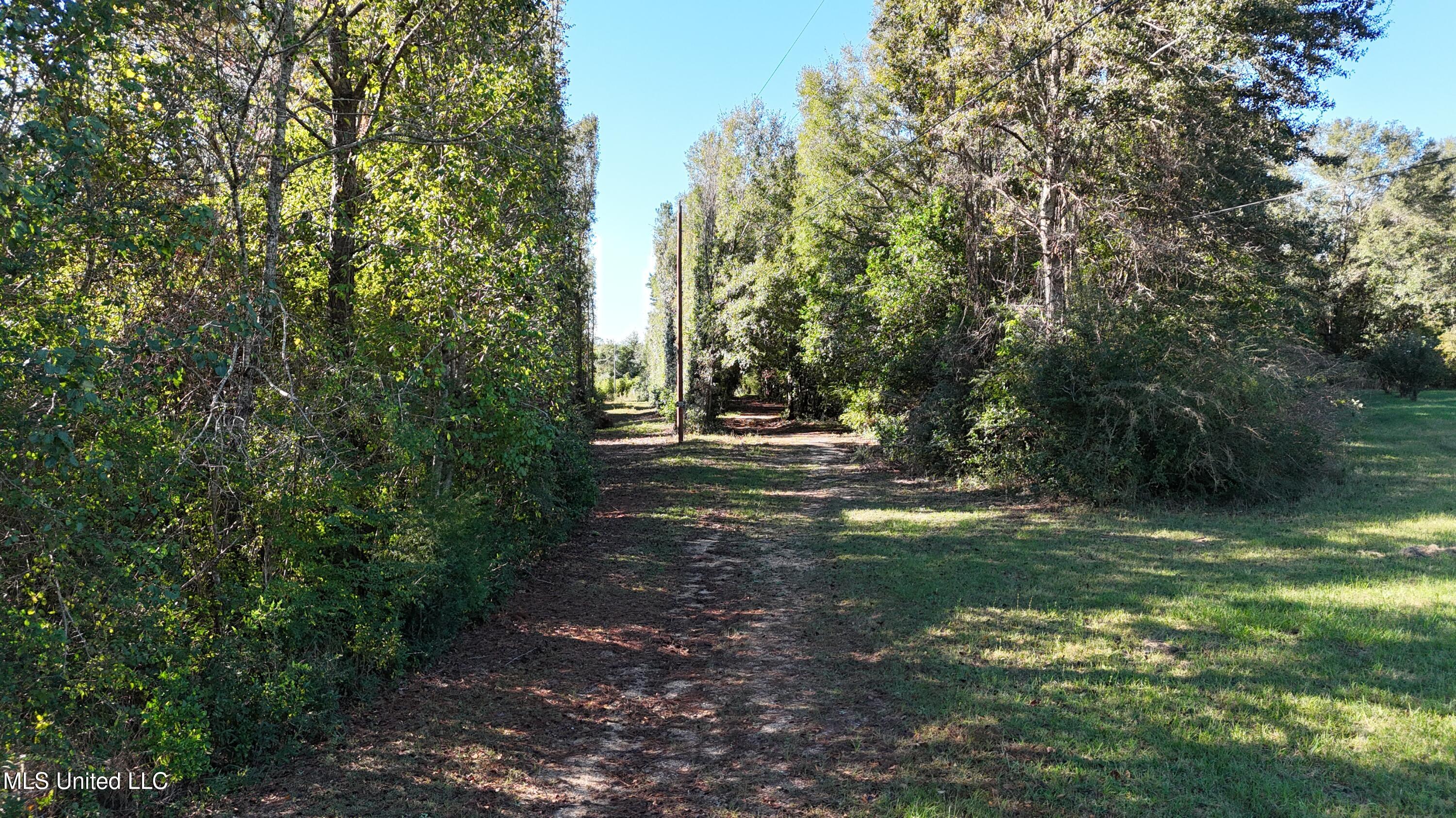 1012 Anchor Lake Road, Carriere, Mississippi image 1