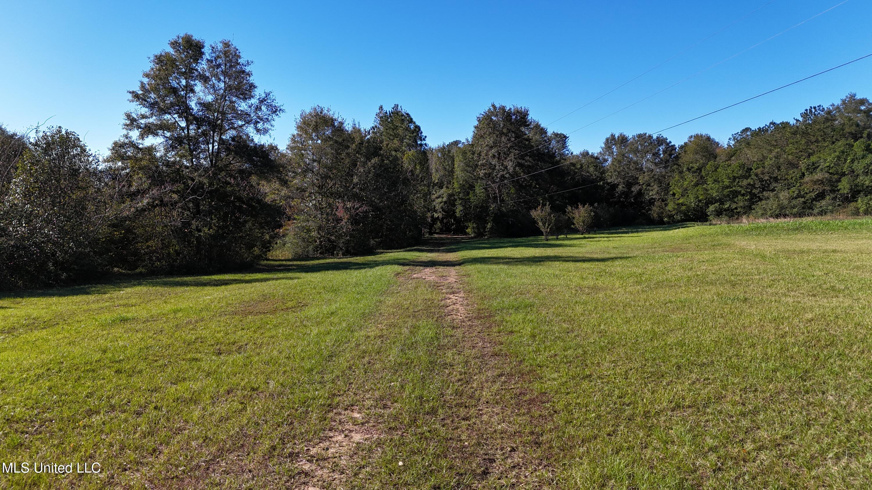 1012 Anchor Lake Road, Carriere, Mississippi image 3