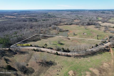 Vacant Land For Sale - 349 Highway<br/> Potts Camp, MS 38659