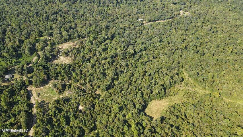 Judkins Road, Yazoo City, Mississippi image 23
