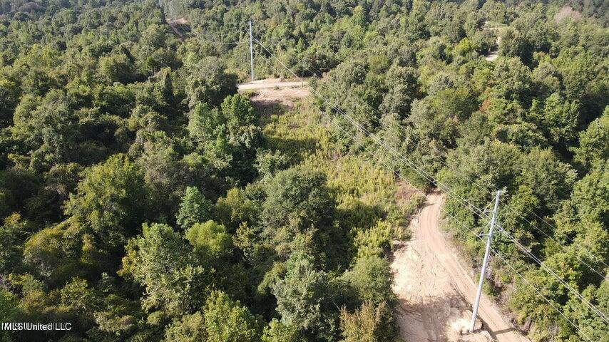 Judkins Road, Yazoo City, Mississippi image 17