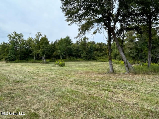 Judkins Road, Yazoo City, Mississippi image 2