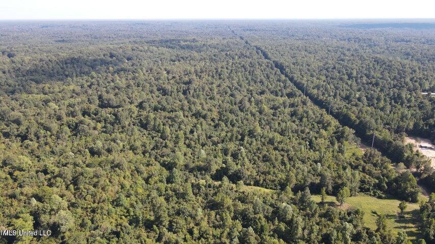 Judkins Road, Yazoo City, Mississippi image 35