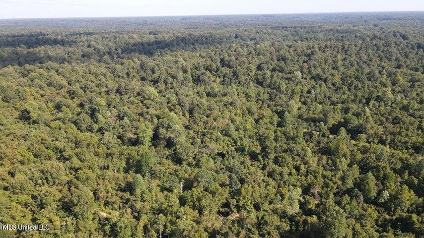 Judkins Road, Yazoo City, Mississippi image 25